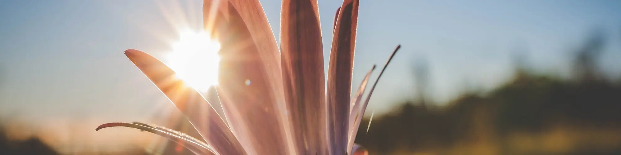 Protéger-sa-Peau-du-Soleil-Adopter-une-Routine-Skin-Care-Adaptée Mundo Image