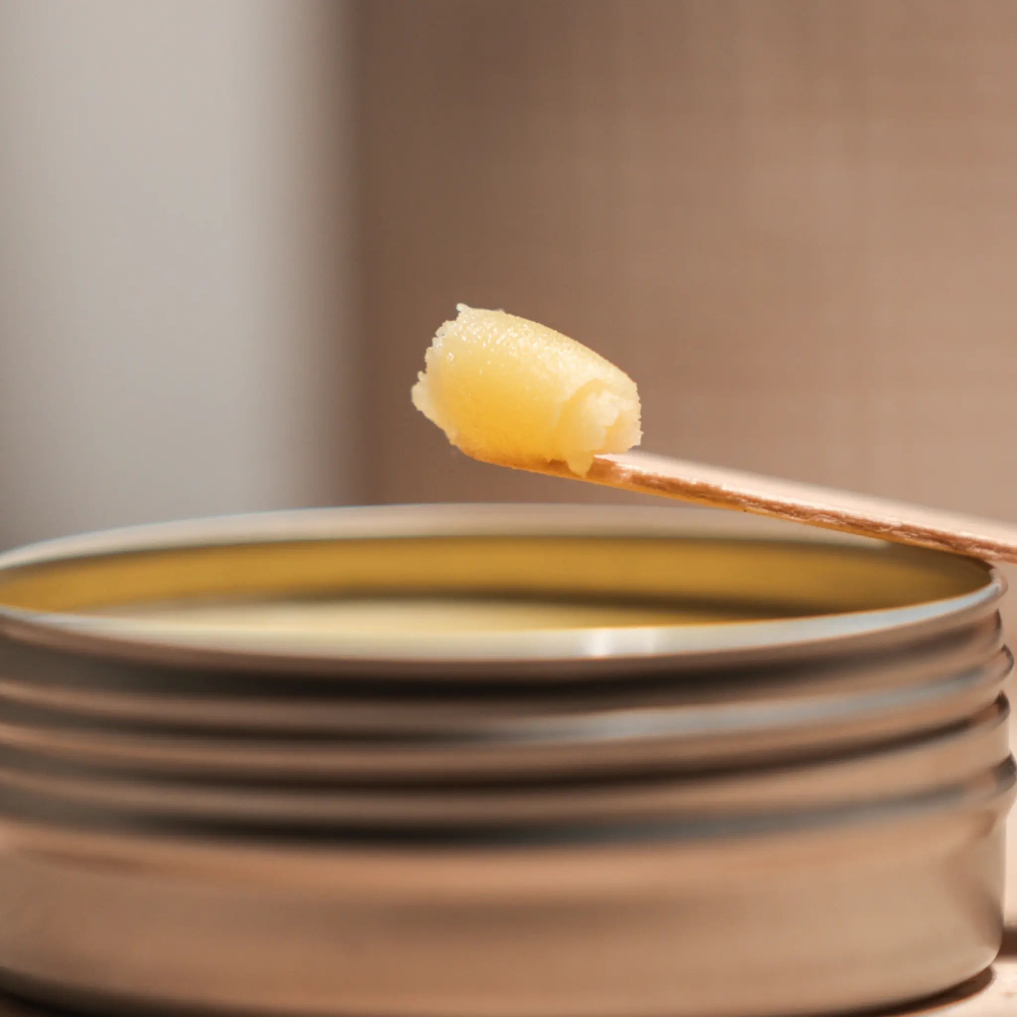 Tout savoir sur la cire d’abeille Mundo Image