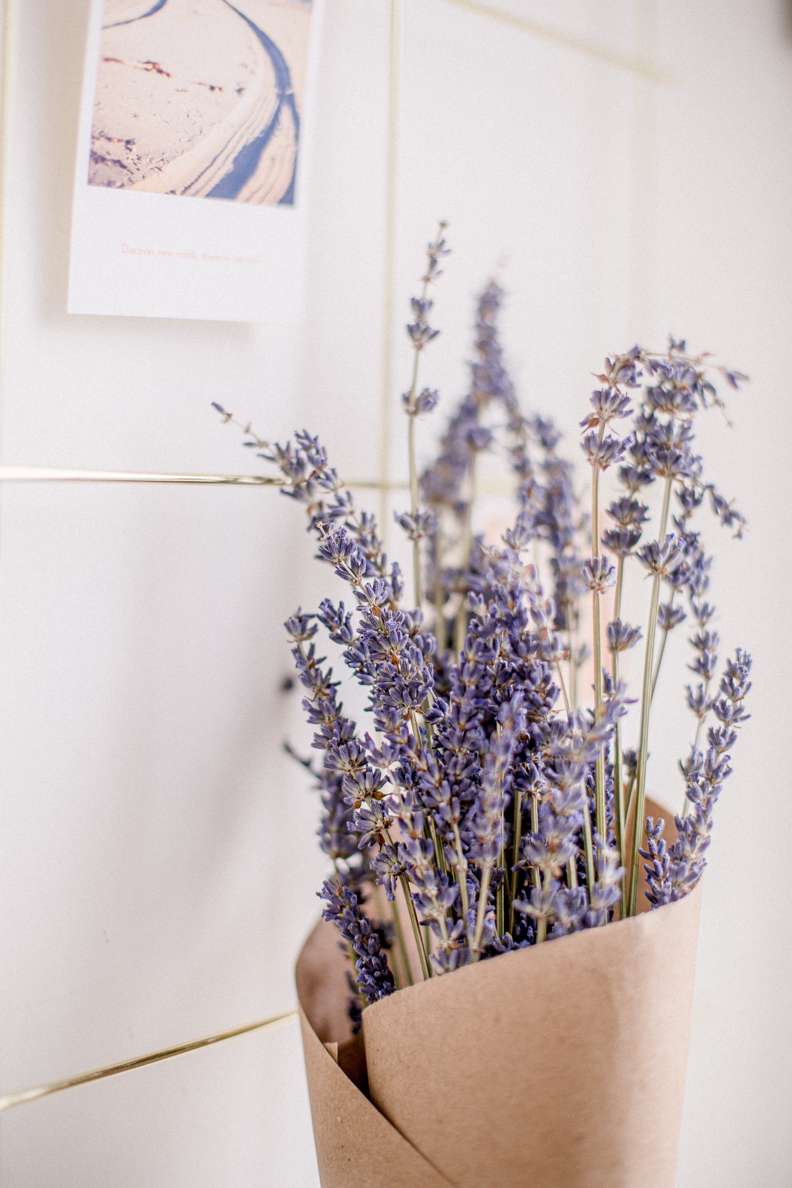 Bouquet de lavende
